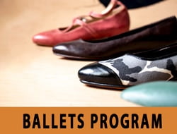 Ballets shoemaking program